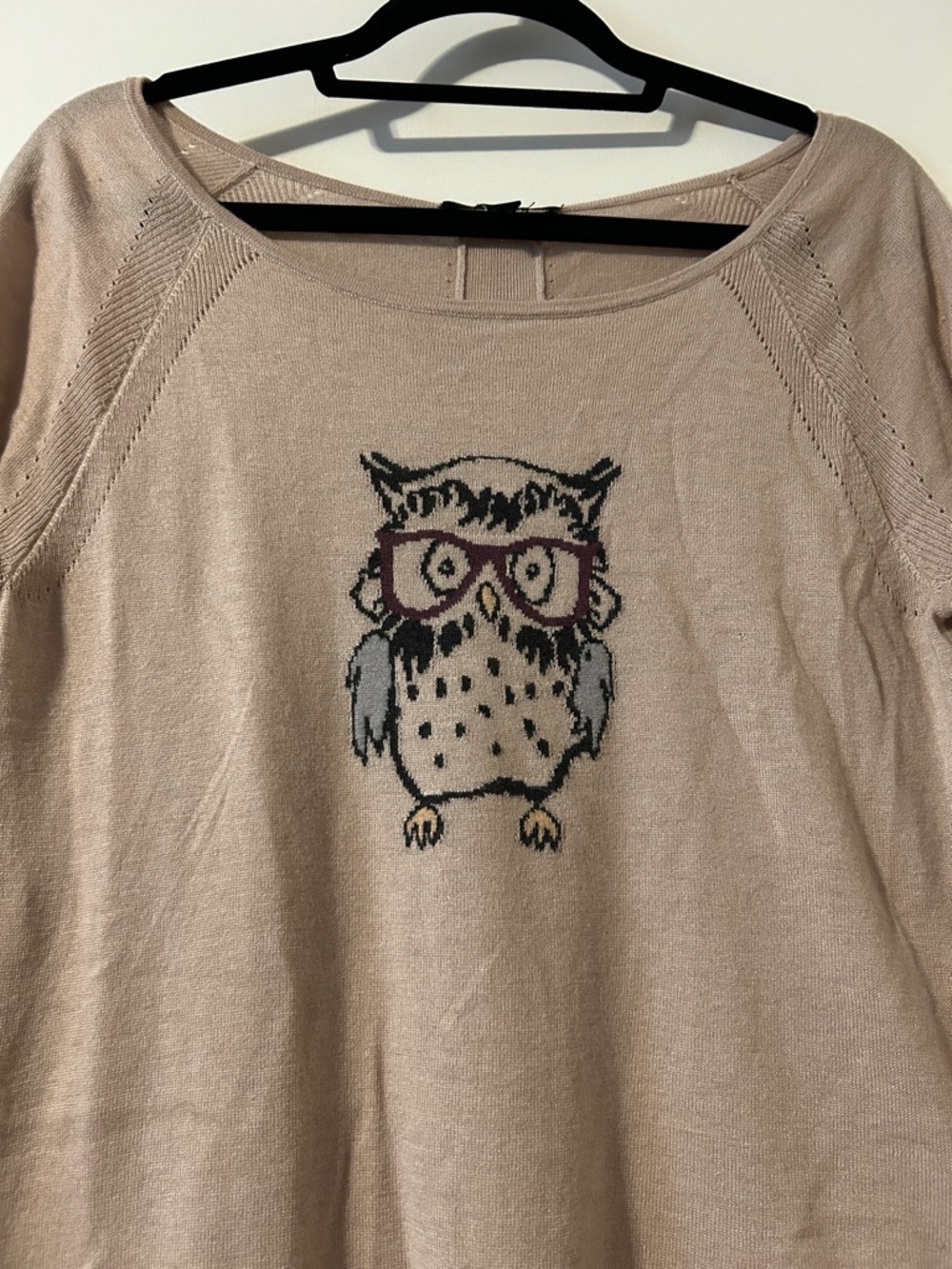 Anne Taylor Beige Sweater with owl